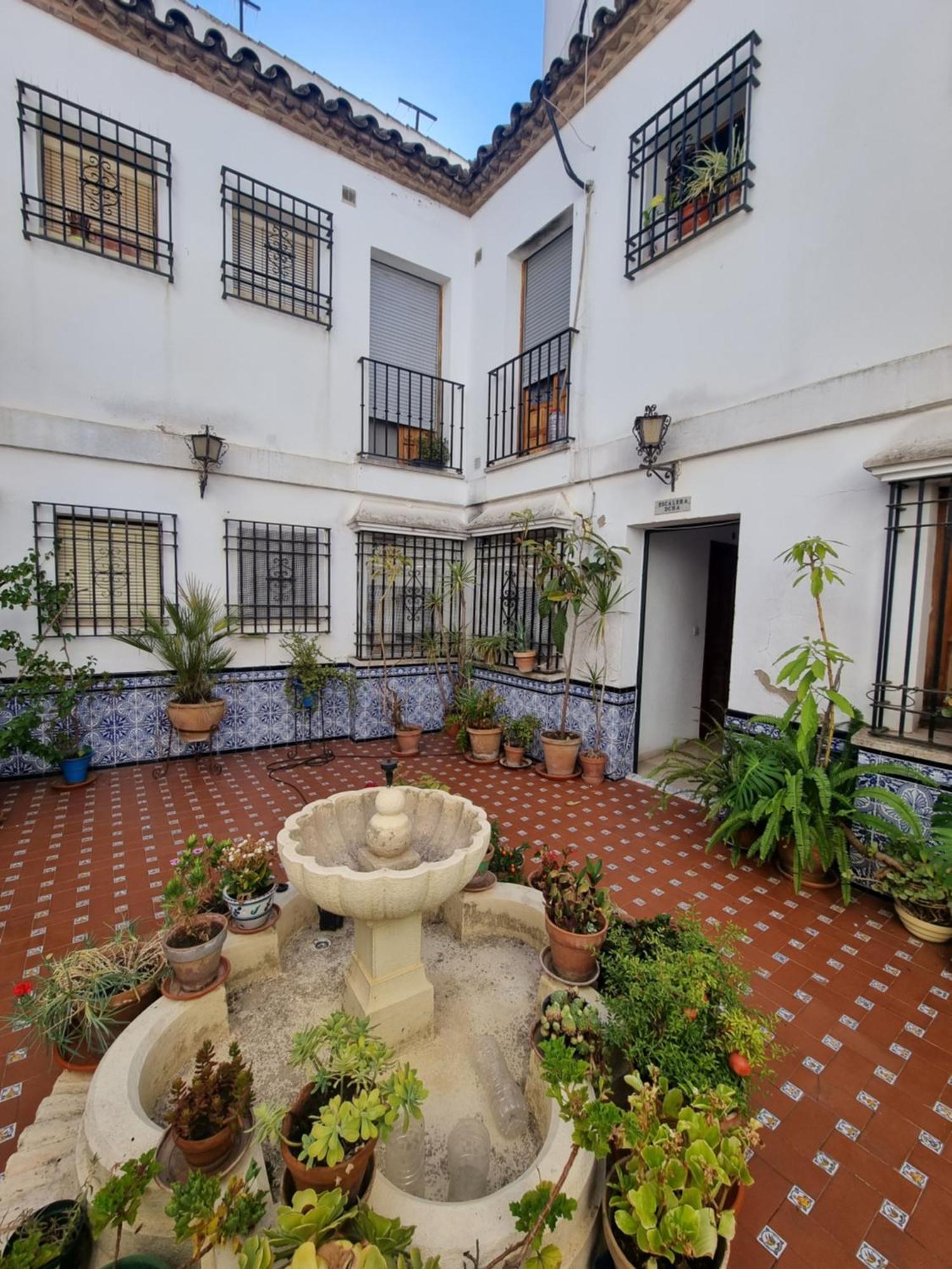 En Patio Cordobes San Basilio Cordoba
