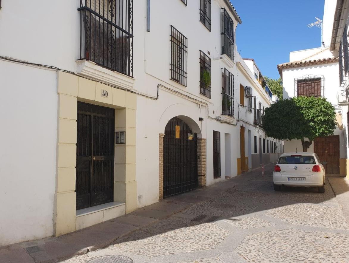 En Patio Cordobes San Basilio Cordoba