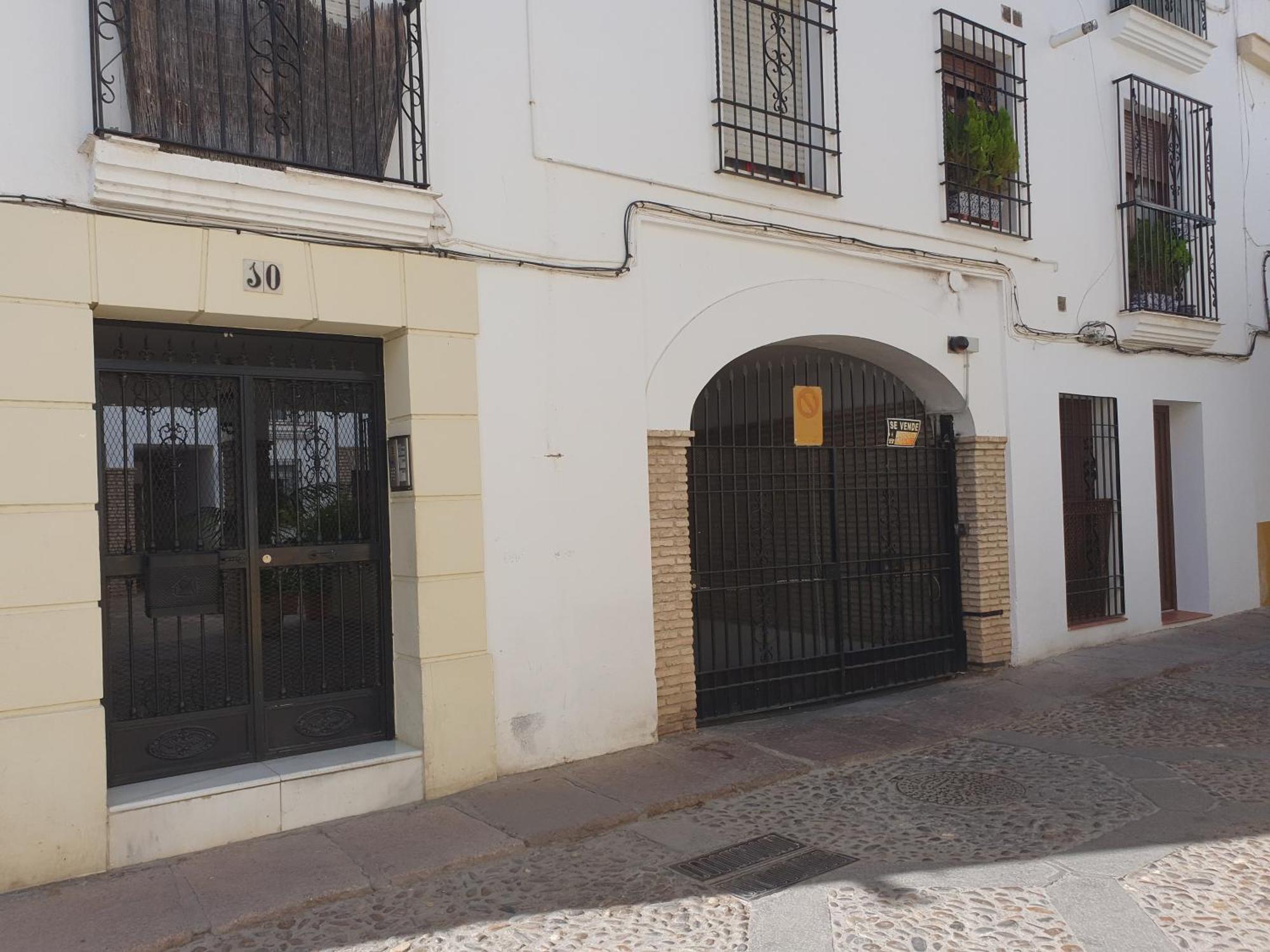 En Patio Cordobes San Basilio Cordoba