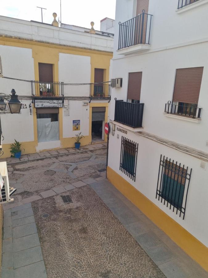 En Patio Cordobes San Basilio *