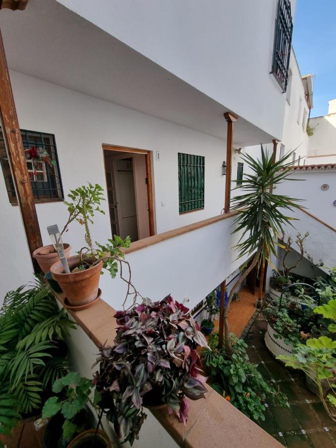 Apartment En Patio Cordobes San Basilio *